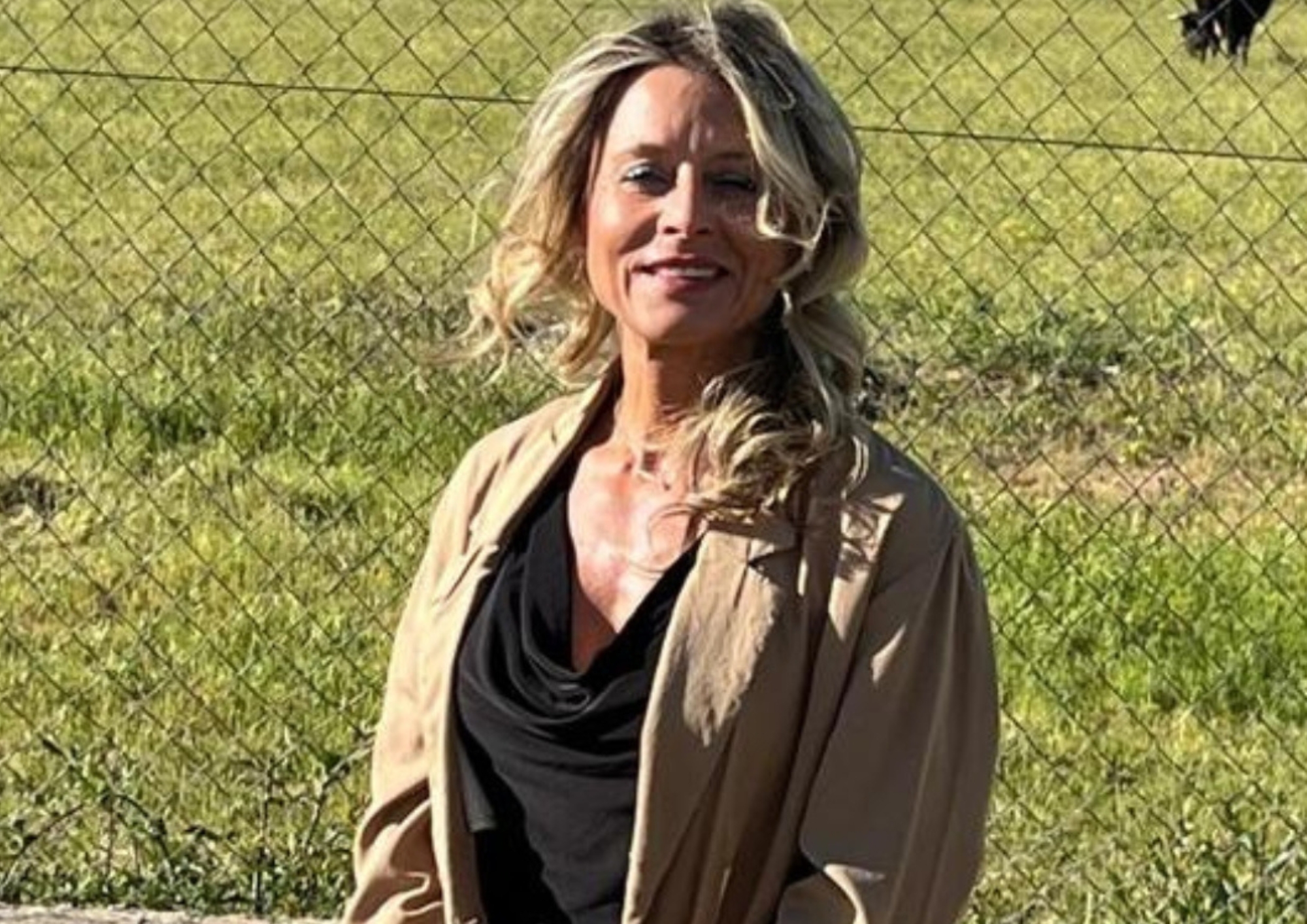 Cargo de la Corporación